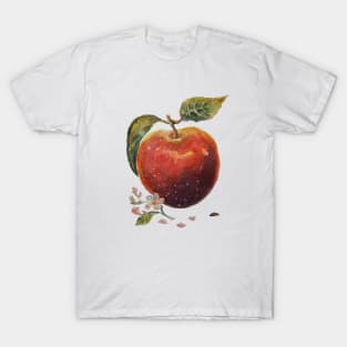 Watercolor apple T-Shirt
